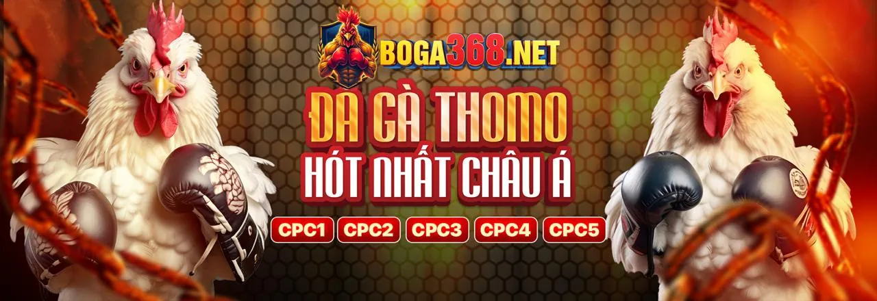 Chính sách Cookie của 33win2 win